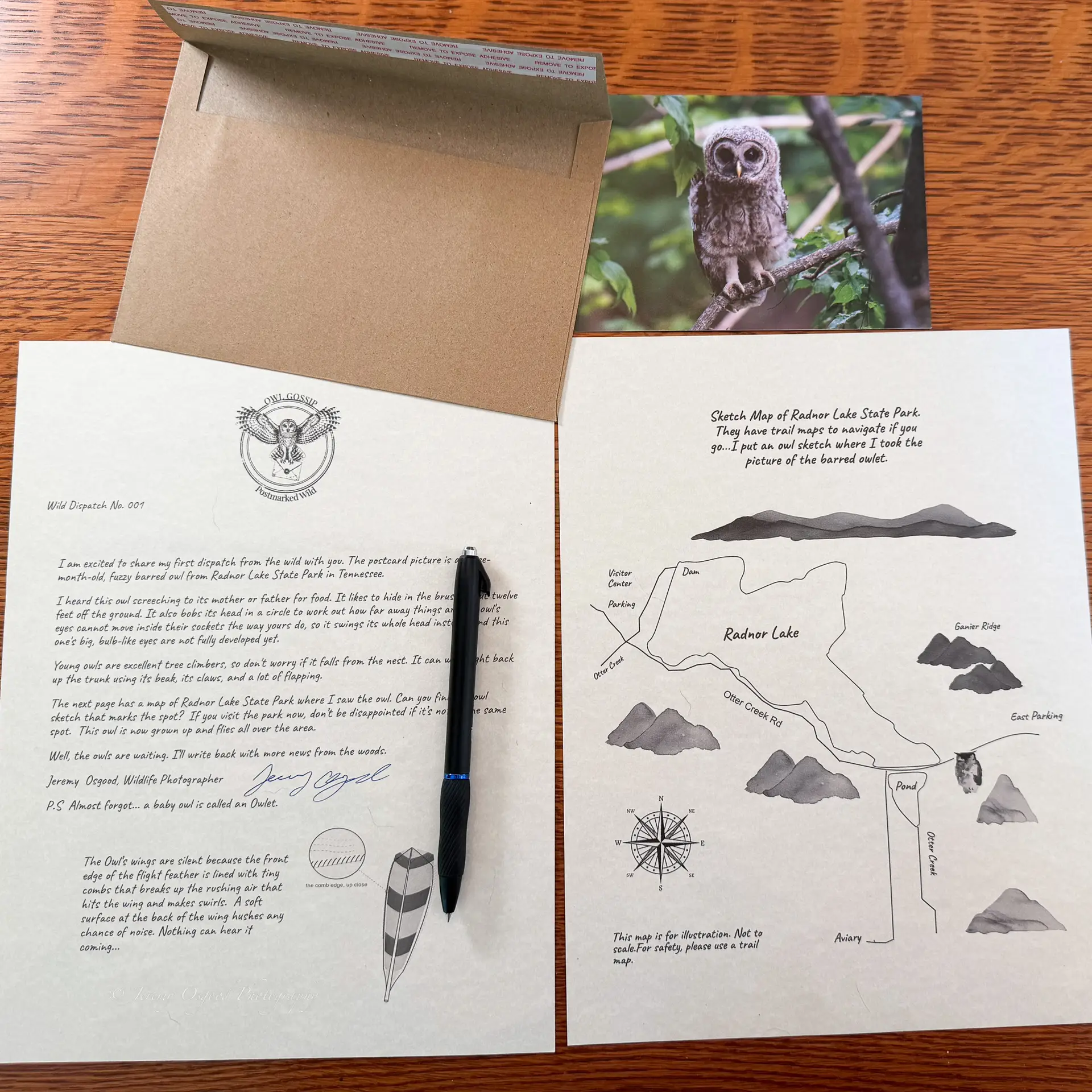 A field dispatch wildlife letter from Owl Gossip